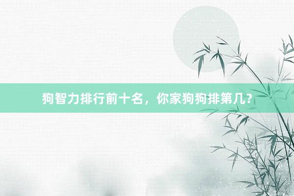 狗智力排行前十名，你家狗狗排第几？