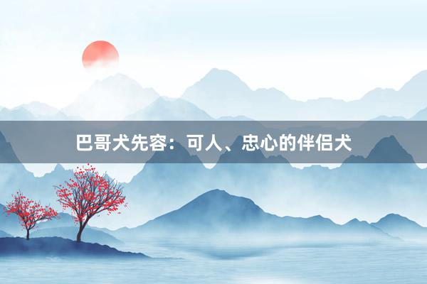 巴哥犬先容：可人、忠心的伴侣犬